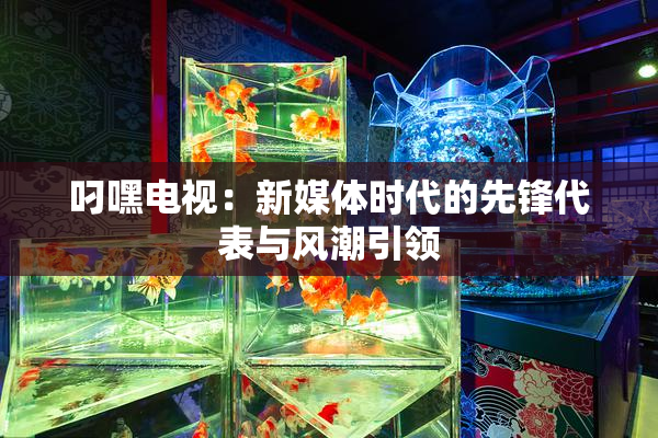 叼嘿电视：新媒体时代的先锋代表与风潮引领