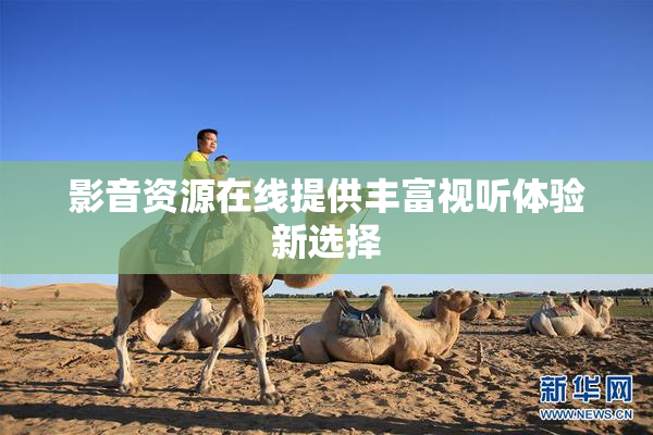 影音资源在线提供丰富视听体验新选择