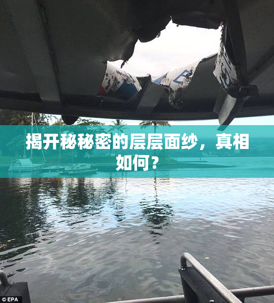 揭开秘秘密的层层面纱，真相如何？