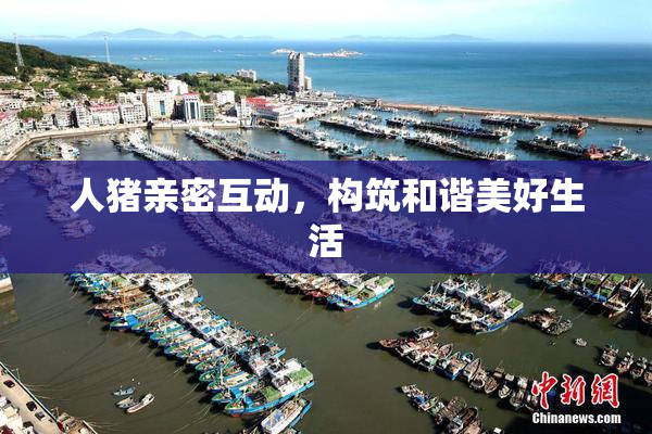 人猪亲密互动，构筑和谐美好生活