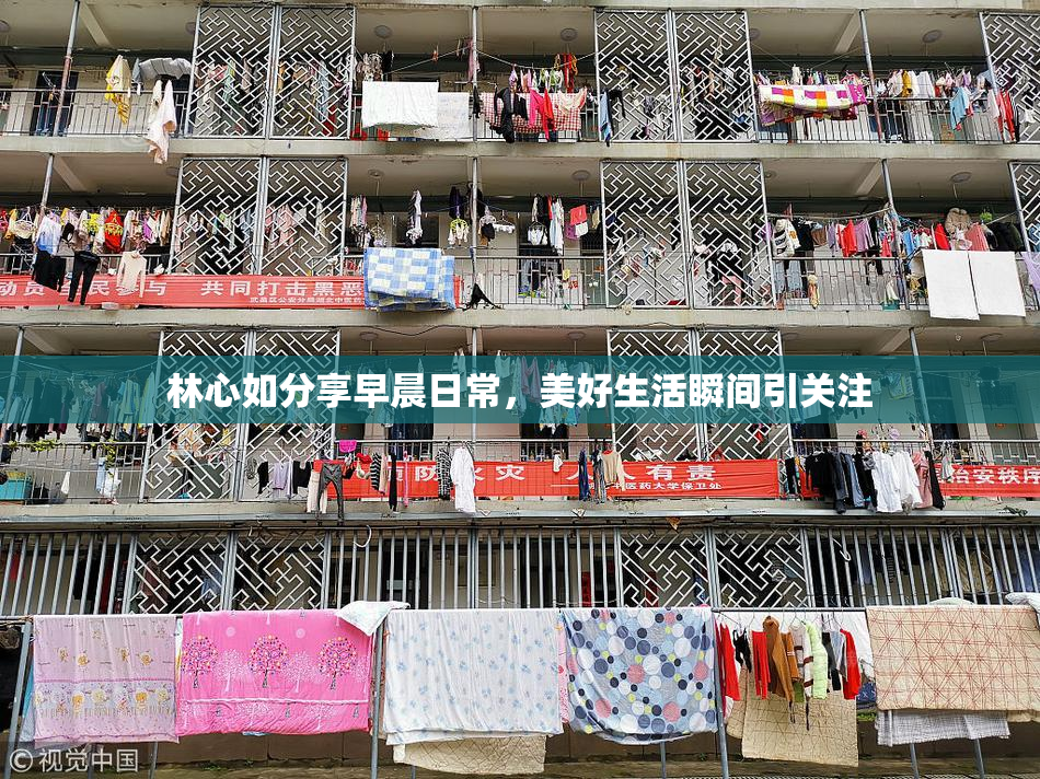 林心如分享早晨日常，美好生活瞬间引关注