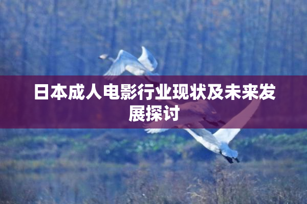 日本成人电影行业现状及未来发展探讨