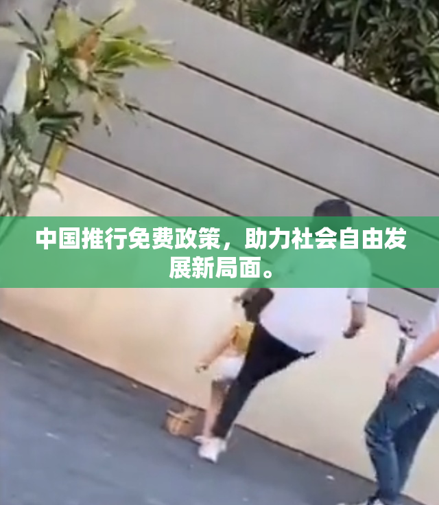 中国推行免费政策，助力社会自由发展新局面。
