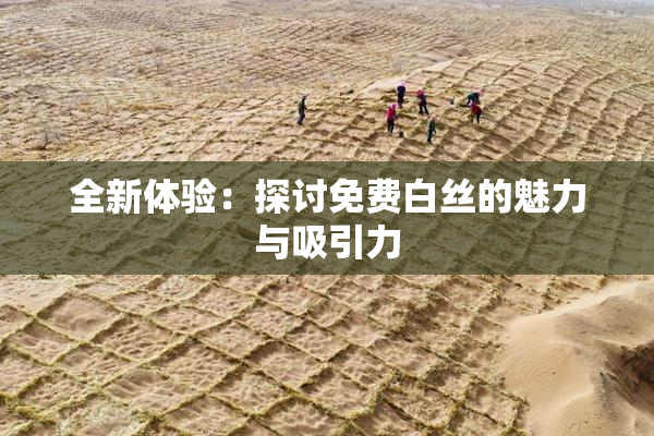 全新体验：探讨免费白丝的魅力与吸引力