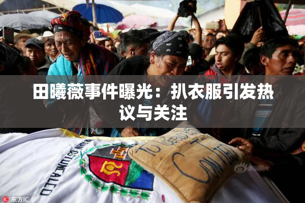 田曦薇事件曝光：扒衣服引发热议与关注