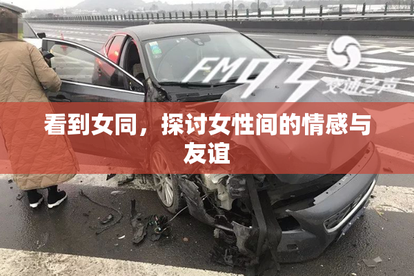 看到女同，探讨女性间的情感与友谊