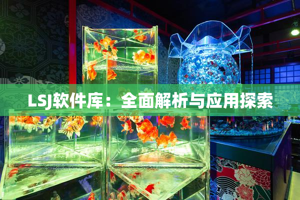 LSJ软件库：全面解析与应用探索