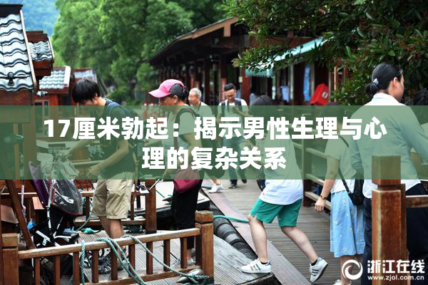 17厘米勃起：揭示男性生理与心理的复杂关系