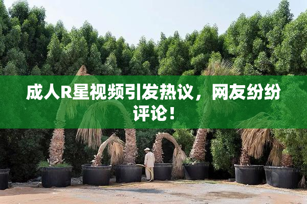 成人R星视频引发热议，网友纷纷评论！