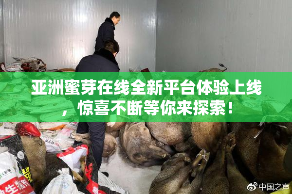 亚洲蜜芽在线全新平台体验上线，惊喜不断等你来探索！