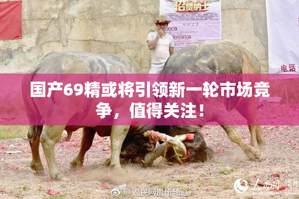 国产69精或将引领新一轮市场竞争，值得关注！