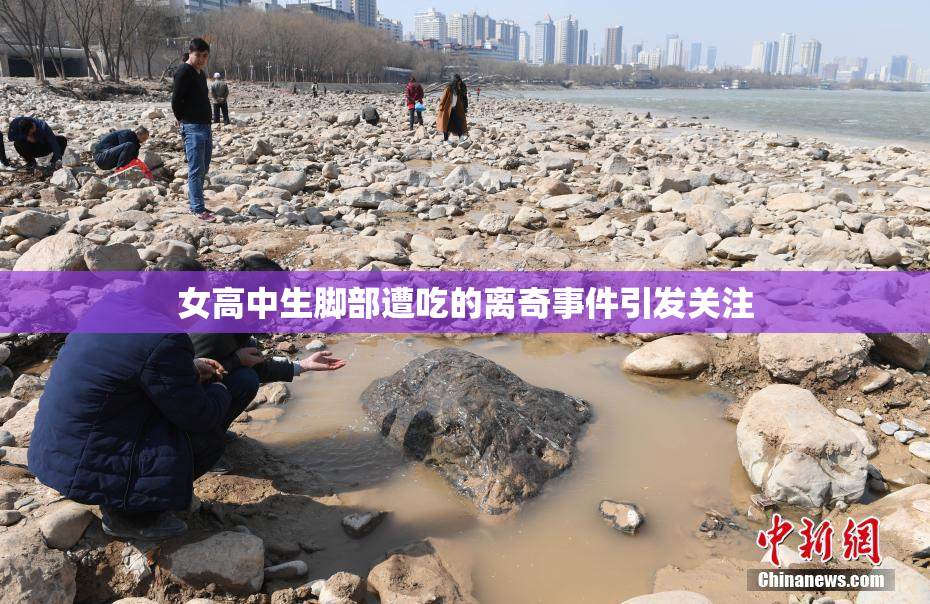 女高中生脚部遭吃的离奇事件引发关注