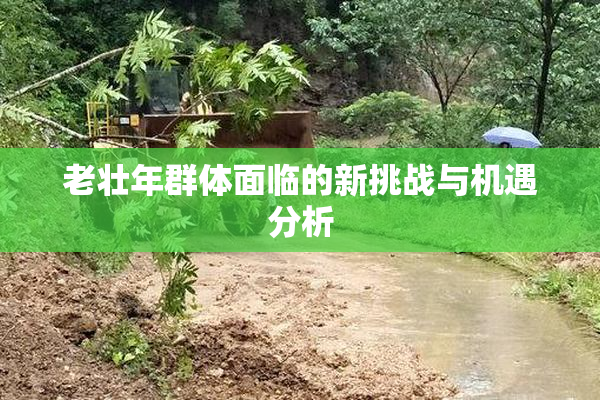 老壮年群体面临的新挑战与机遇分析