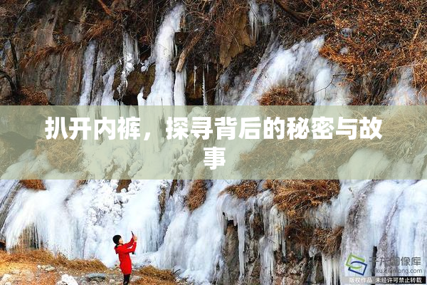 扒开内裤，探寻背后的秘密与故事
