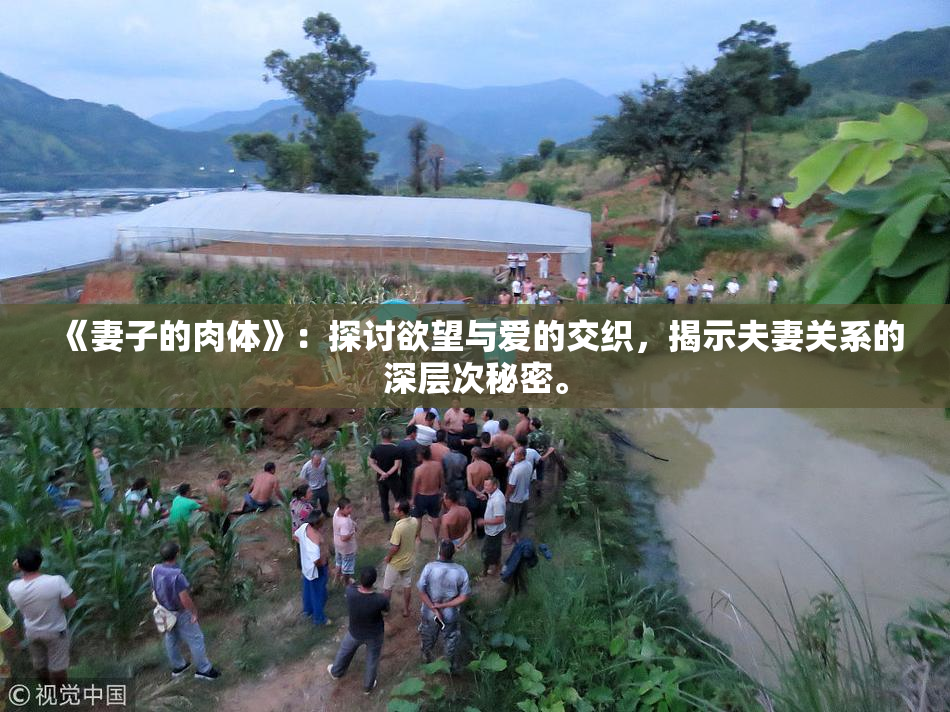《妻子的肉体》：探讨欲望与爱的交织，揭示夫妻关系的深层次秘密。