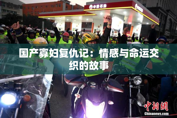 国产寡妇复仇记：情感与命运交织的故事