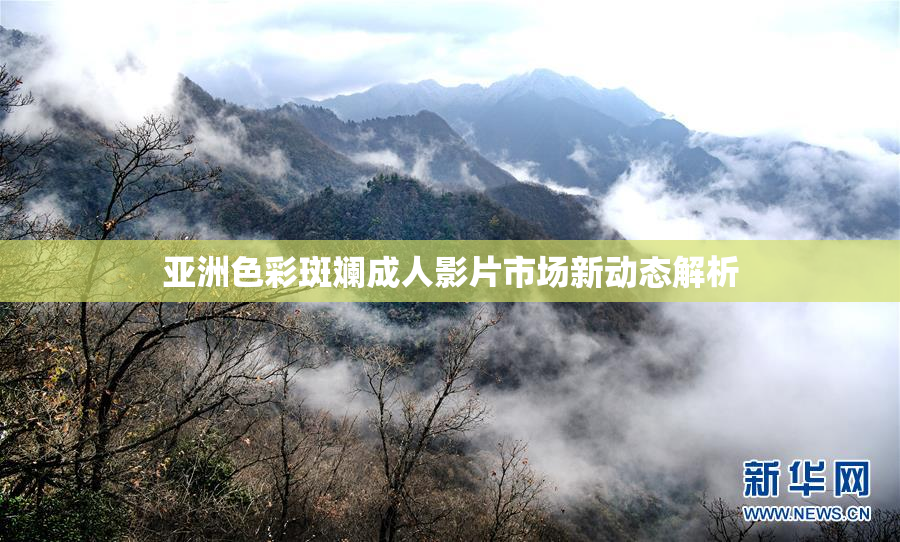 亚洲色彩斑斓成人影片市场新动态解析