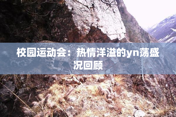校园运动会：热情洋溢的yn荡盛况回顾