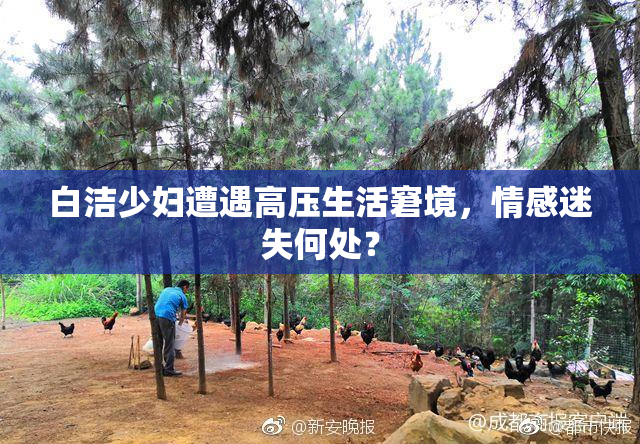 白洁少妇遭遇高压生活窘境，情感迷失何处？