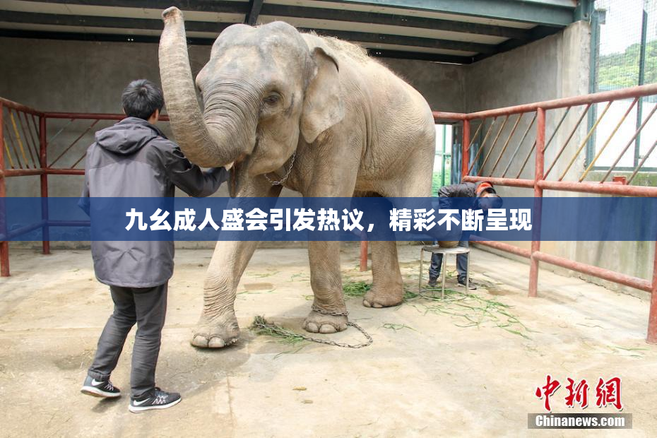 九幺成人盛会引发热议，精彩不断呈现