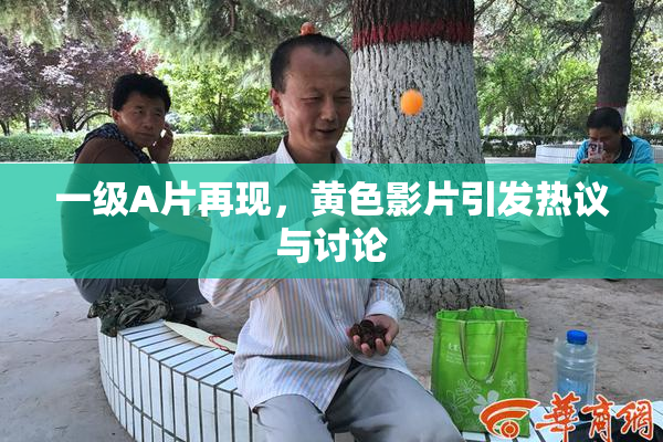 一级A片再现，黄色影片引发热议与讨论