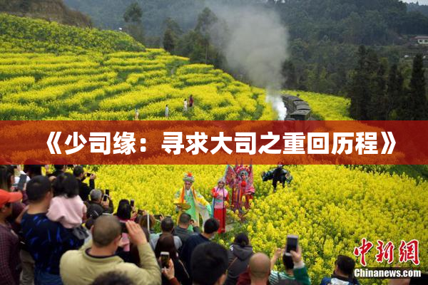 《少司缘：寻求大司之重回历程》
