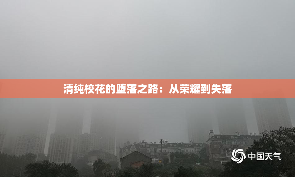 清纯校花的堕落之路：从荣耀到失落