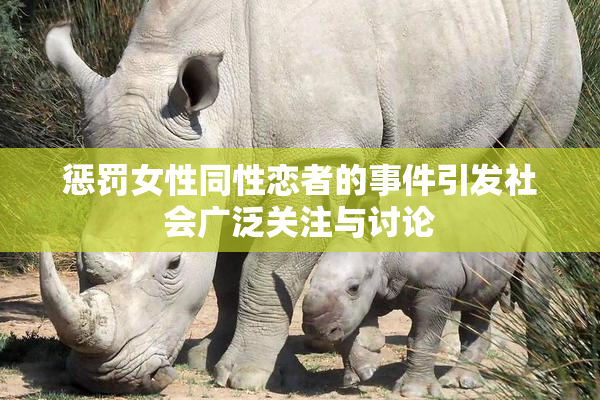 惩罚女性同性恋者的事件引发社会广泛关注与讨论