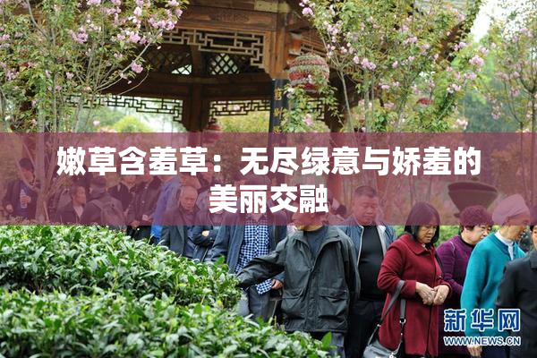 嫩草含羞草：无尽绿意与娇羞的美丽交融