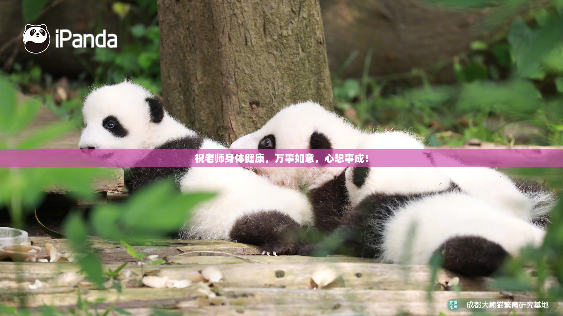 祝老师身体健康，万事如意，心想事成！