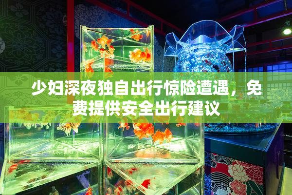 少妇深夜独自出行惊险遭遇，免费提供安全出行建议