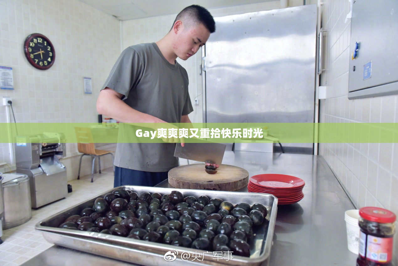 Gay爽爽爽又重拾快乐时光