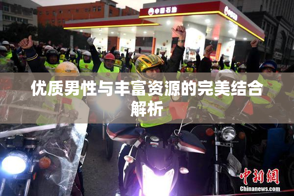 优质男性与丰富资源的完美结合解析