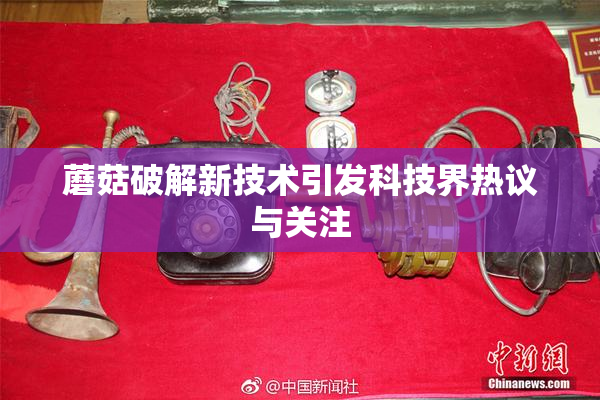 蘑菇破解新技术引发科技界热议与关注