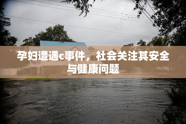 孕妇遭遇c事件，社会关注其安全与健康问题