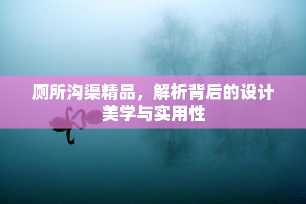 厕所沟渠精品，解析背后的设计美学与实用性
