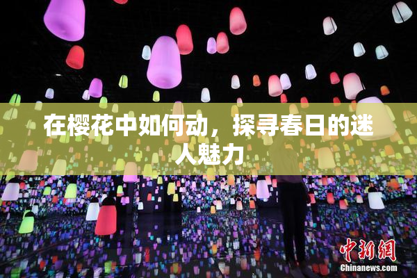 在樱花中如何动，探寻春日的迷人魅力