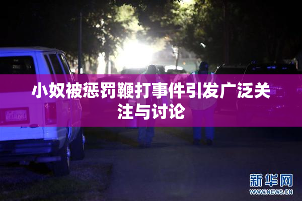 小奴被惩罚鞭打事件引发广泛关注与讨论