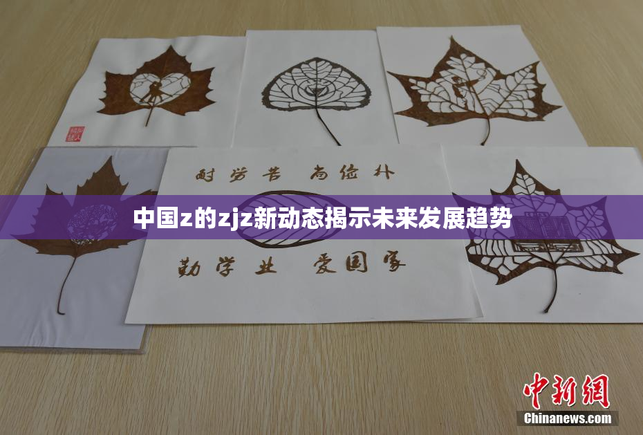 中国z的zjz新动态揭示未来发展趋势
