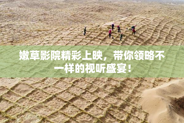 嫩草影院精彩上映，带你领略不一样的视听盛宴！
