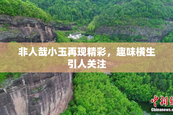 非人哉小玉再现精彩，趣味横生引人关注