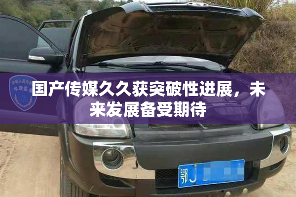 国产传媒久久获突破性进展，未来发展备受期待