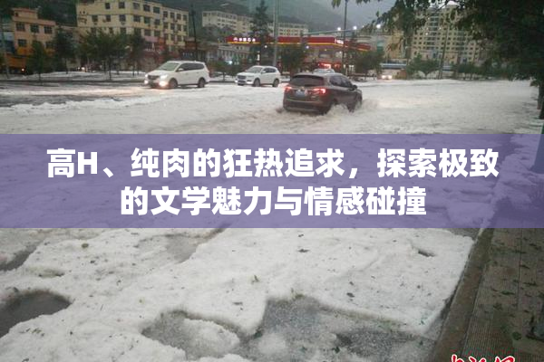 高H、纯肉的狂热追求，探索极致的文学魅力与情感碰撞