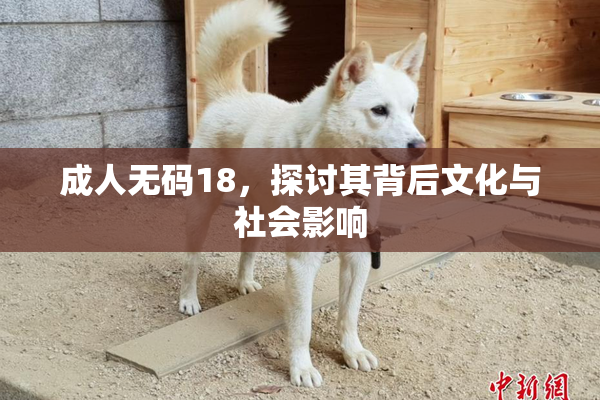 成人无码18，探讨其背后文化与社会影响