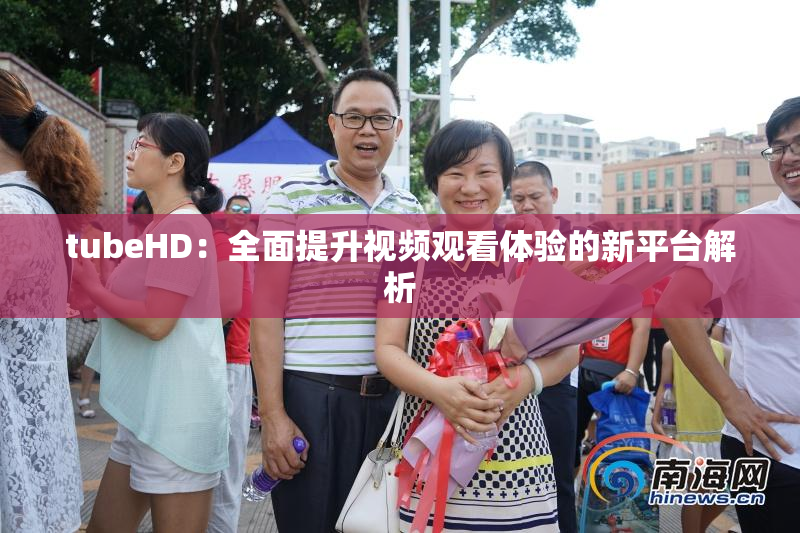 tubeHD：全面提升视频观看体验的新平台解析