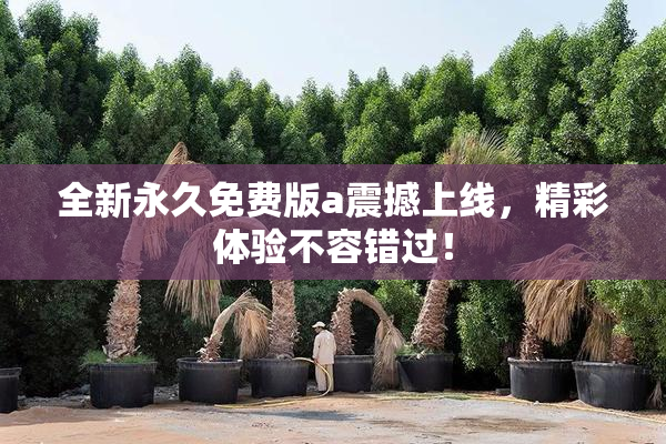 全新永久免费版a震撼上线，精彩体验不容错过！