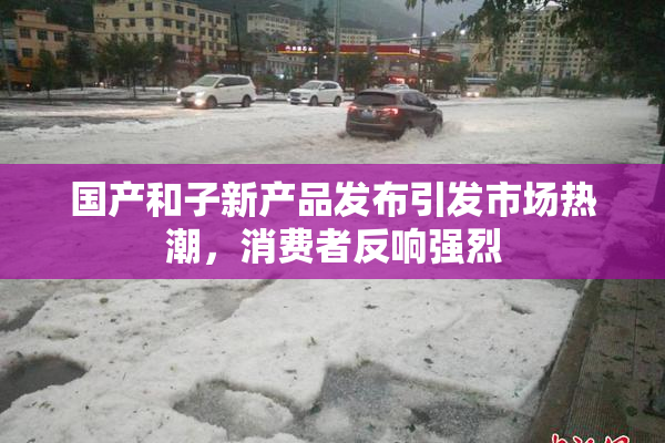国产和子新产品发布引发市场热潮，消费者反响强烈