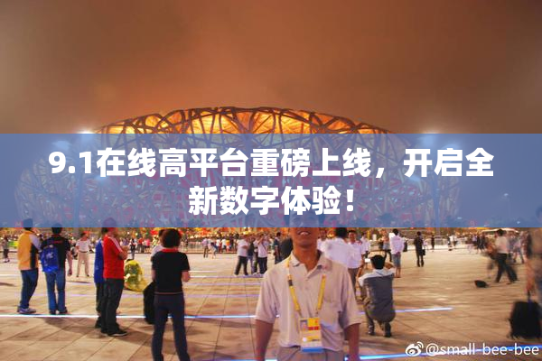 9.1在线高平台重磅上线，开启全新数字体验！