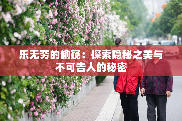 乐无穷的偷窥：探索隐秘之美与不可告人的秘密