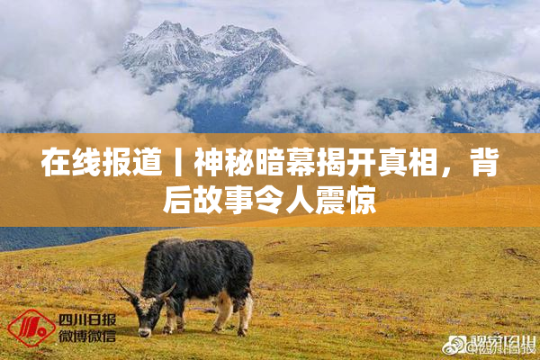 在线报道丨神秘暗幕揭开真相，背后故事令人震惊